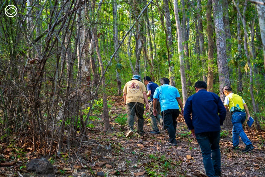 Payment for Ecosystem Services บ้านปงเหนือ เชียงใหม่ ผู้พิทักษ์ไฟป่าดอยสุเทพและฟื้นฟูป่าเปียกด้วย กลไกจ่ายค่าตอบแทนนิเวศบริการ PES