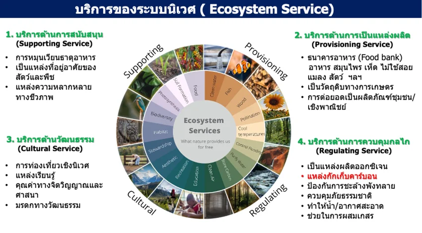 ภาพประกอบ