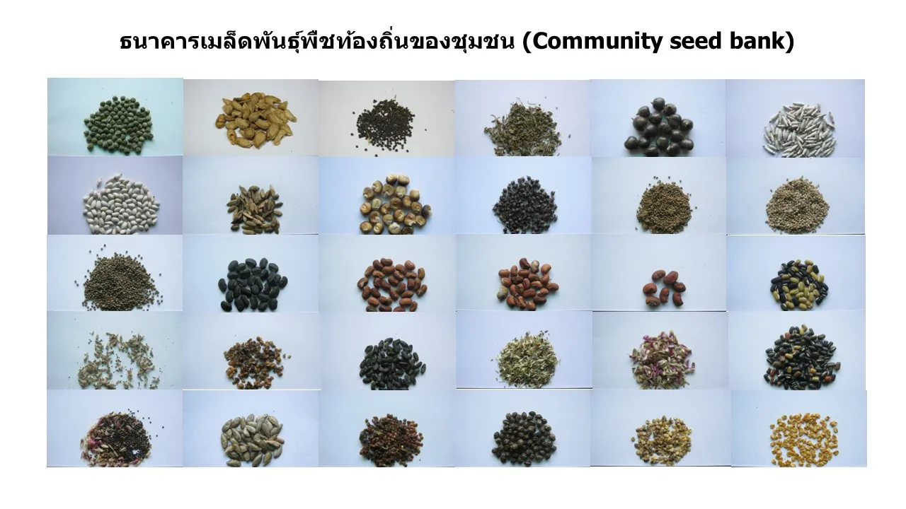 ภาพประกอบ]![ภาพประกอบ