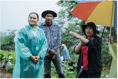 ภาพประกอบ