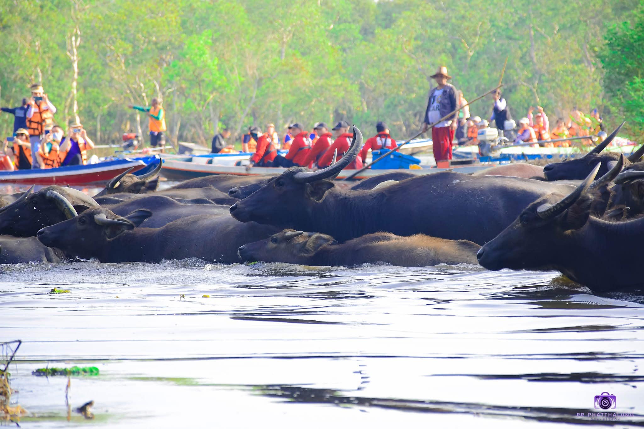 ภาพประกอบ